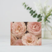 Wertvolle Rose Postkarte (Stehend Vorderseite)