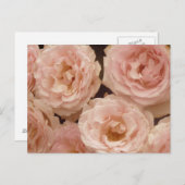 Wertvolle Rose Postkarte (Vorne/Hinten)