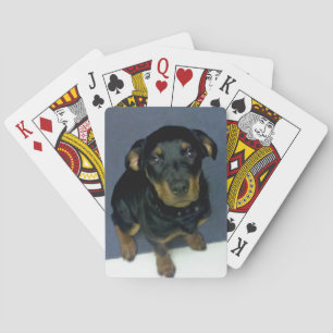 Wertvolle Rottweiler-Welpenspielkarten Spielkarten