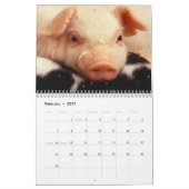 Wertvolle Schweine 2026 Kalender (Feb 2027)