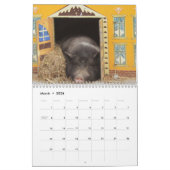 Wertvolle Schweine - Kalender 2016 (Mär 2026)