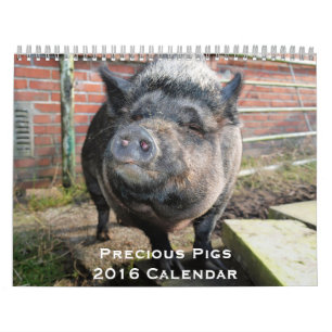 Wertvolle Schweine - Kalender 2016