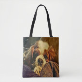 Wertvolle unbekümmerte Königcharles Tasche (Vorderseite)