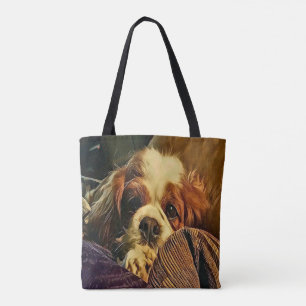 Wertvolle unbekümmerte Königcharles Tasche