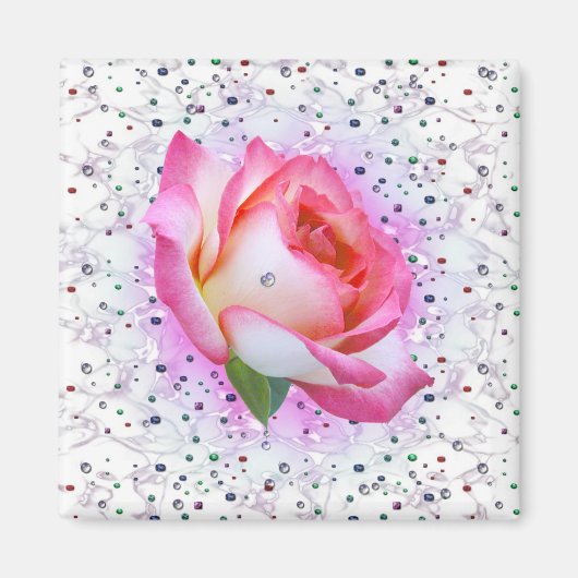 Wertvolle Valentinische Rose, Magnet (Vorne)