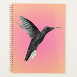 Wertvoller Hummingvogel in Rosa Orange Planer