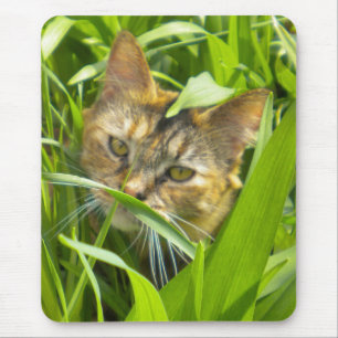 Wertvoller Jungle Kitty Mouse Pad Mousepad