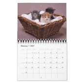 Wertvoller Kalender der Katzen-2012 (Feb 2027)