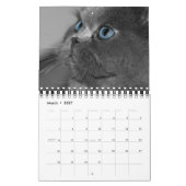 Wertvoller Kalender der Katzen-2012 (Mär 2027)