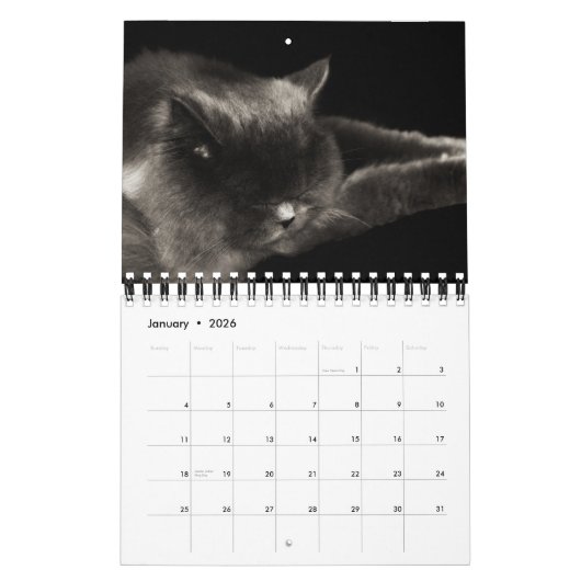 Wertvoller Kalender der Katzen-2012 (Jan 2026)