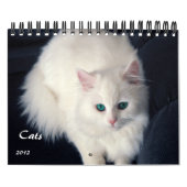 Wertvoller Kalender der Katzen-2012 (Titelbild)