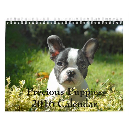 Wertvoller Kalender der Welpen-2016 (Titelbild)