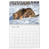 Wertvoller Kalender der Welpen-2016 (Jan 2027)