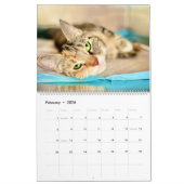Wertvoller Paws-2025-Kalender Kalender (Feb 2026)
