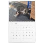 Wertvoller Paws-2025-Kalender Kalender (Mär 2027)