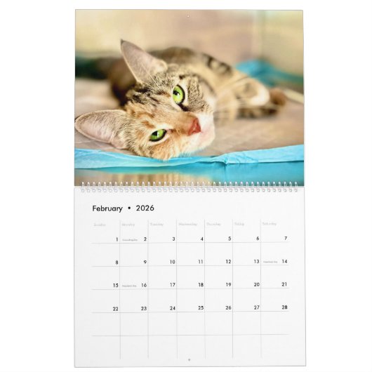 Wertvoller Paws-2025-Kalender Kalender (Feb 2026)