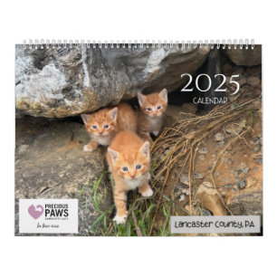 Wertvoller Paws-2025-Kalender Kalender