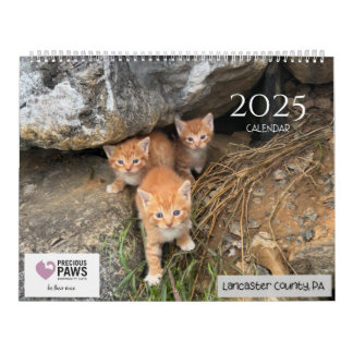 Wertvoller Paws-2025-Kalender Kalender