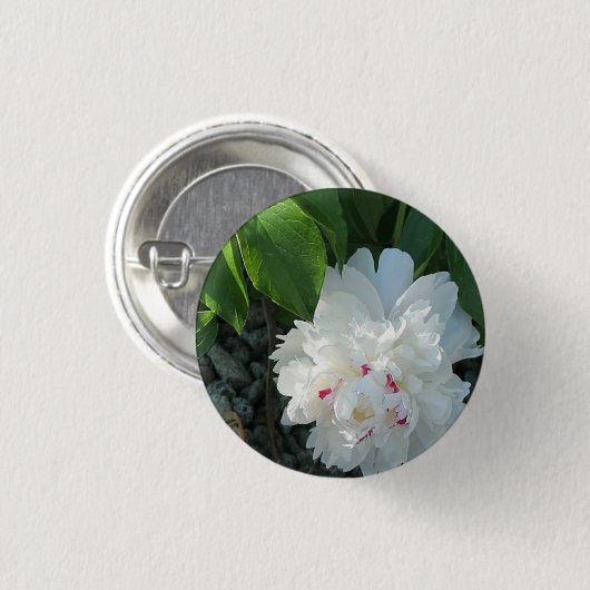 Wertvoller Peerbutton Button (Vorne & Hinten)