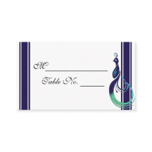 Wertvoller Pfau im Lila Aquamarinen und grünen Ort