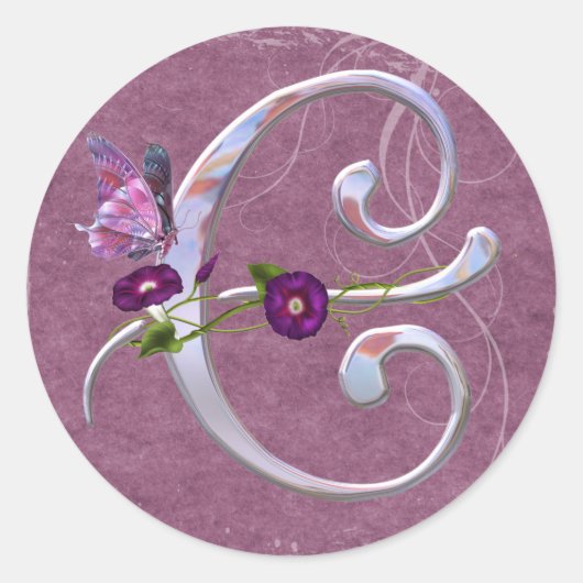 Wertvoller Schmetterling Initial C Runder Aufkleber (Vorderseite)