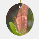 Wertvoller Schmetterling Keramikornament (Links)