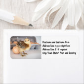 Wertvolles Baby Chick und Eier (Insitu)