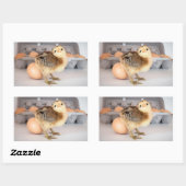 Wertvolles Baby Chick und Eier Rechteckiger Aufkleber (Blatt)