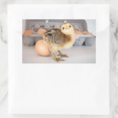Wertvolles Baby Chick und Eier Rechteckiger Aufkleber (Tasche)