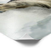 Wertvolles Baby-Siegel Fotodruck (Ecke)