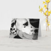 Wertvolles Dalmation Karte (Gelbe Blume)