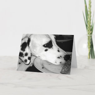 Wertvolles Dalmation Karte