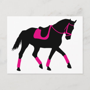 Wertvolles Dressur Postkarte