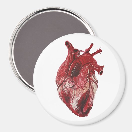 Wertvolles Herz Magnet (Vorderseite/Rückseite)