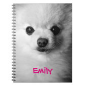 Wertvolles Spitz-Notizbuch Notizblock (Vorderseite)