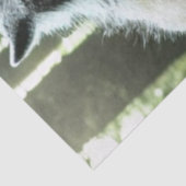 Werwolf, der das gesamte Gewebe des Dorfes aß Seidenpapier (Detail)