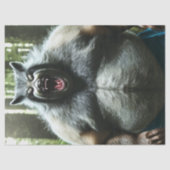 Werwolf, der das gesamte Gewebe des Dorfes aß Seidenpapier (Vorderseite)