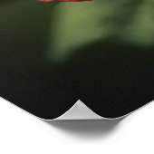 Wesen der Rose Poster (Ecke)