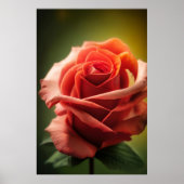 Wesen der Rose Poster (Vorne)