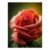Wesensgehalt der Rose Poster (Vorderseite)