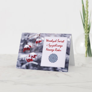 Wesolych Swiat, frohe Weihnachten auf Polnisch,