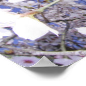 Wespe auf dem Kirschblossom, nah Poster (Ecke)