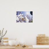 Wespe auf dem Kirschblossom, nah Poster (Küche)