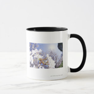 Wespe auf Kirschblüte, nahes hohes Tasse