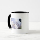 Wespe auf Kirschblüte, nahes hohes Tasse (Vorderseite Links)
