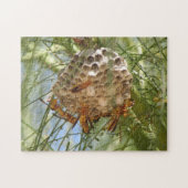 Wespe-Nest Puzzle (Horizontal)