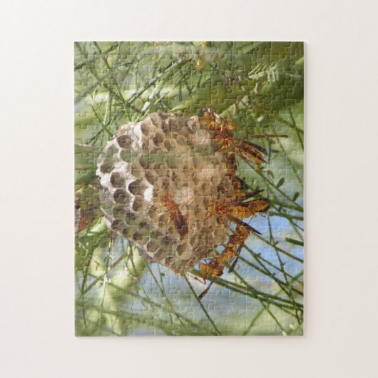 Wespe-Nest Puzzle (Vertikal)