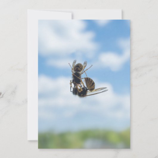 Wespen Einladung (Vorderseite)