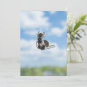 Wespen Einladung (Stehend Vorderseite)