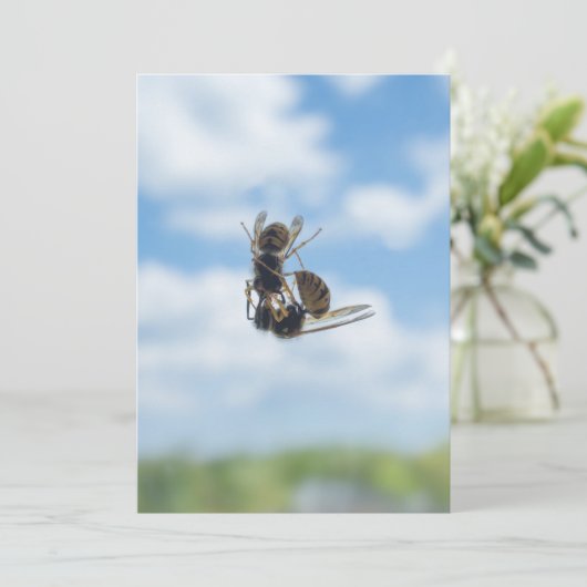 Wespen Einladung (Stehend Vorderseite)